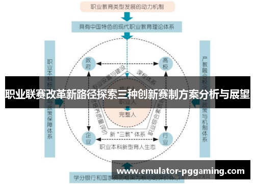 职业联赛改革新路径探索三种创新赛制方案分析与展望