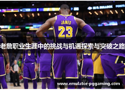 老詹职业生涯中的挑战与机遇探索与突破之路 老詹职业生涯中的挑战与机遇探索与突破之路
