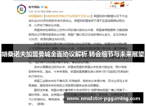 胡桑诺夫加盟曼城全面协议解析 转会细节与未来展望 胡桑诺夫加盟曼城全面协议解析 转会细节与未来展望